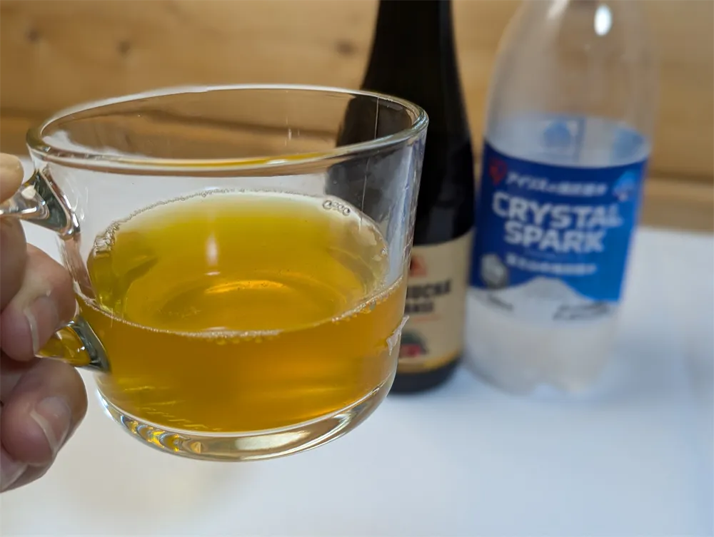 コンブチャクレンズｰ炭酸水 (2)