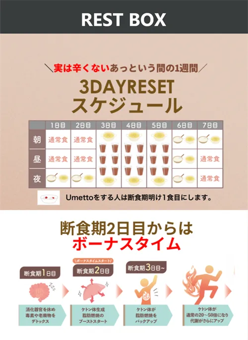 リセットボックスー3DAY (2)