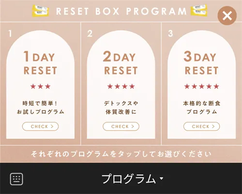 RESET-スケジュール