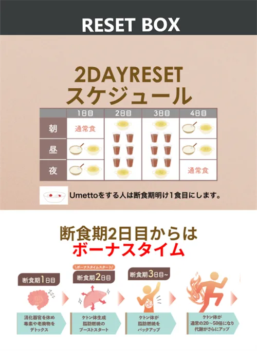 リセットボックスｰ2DAY (2)