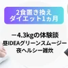 【2食置き換えダイエット1ヶ月】−4.3kgの体験談（昼IDEAグリーンスムージー×夜ヘルシー雑炊）