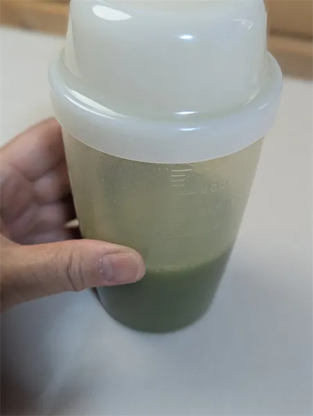 IDEAグリーンスムージー (1)